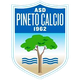 皮内托logo