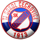 索科尔切乔维奇logo