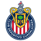瓜达拉哈拉logo
