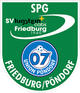 弗里德堡庞多夫logo