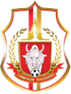 南奔勇士 logo