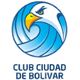 博利瓦尔logo