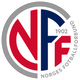 挪威沙滩足球队logo