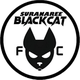 苏拉纳里黑猫logo